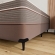 Base Box Queen Sommier ORTOBOM - Camurça Bege